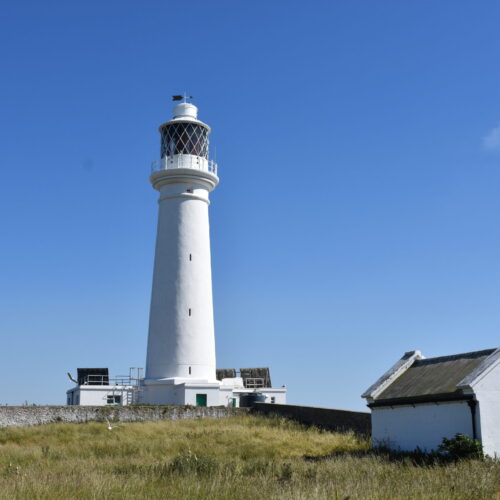 cardiff sea safaris flat holm